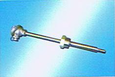 WRNR-12*ȵż