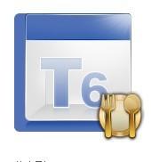 (T6)