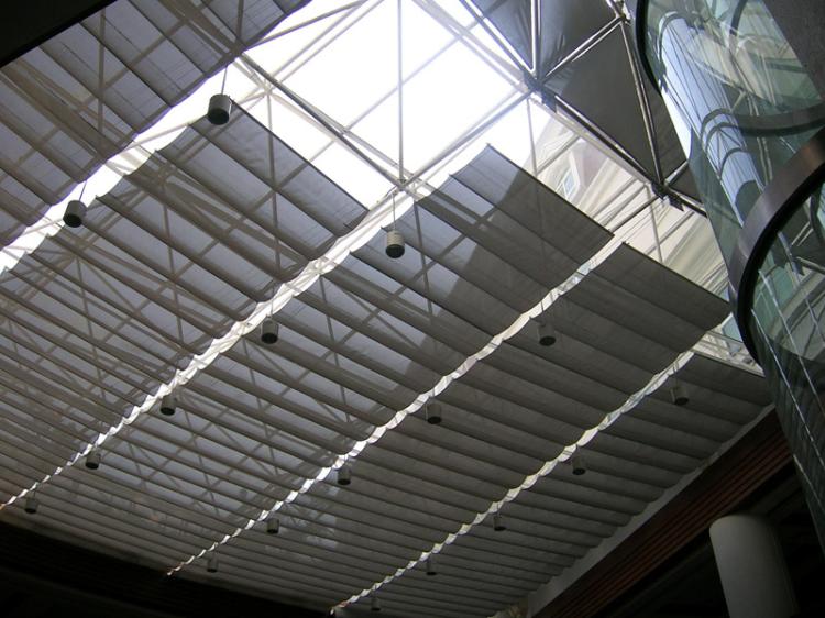 FCS(2008)
