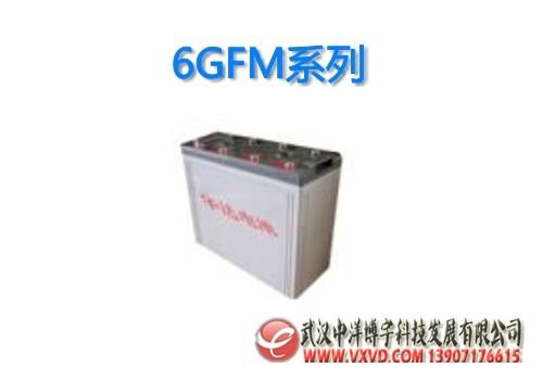 ŵ˹12V6GFM