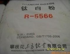 ʸR5566