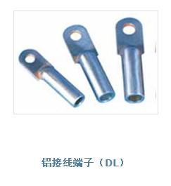 DLȫ߶