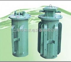KSG-4/0.5KSG-4