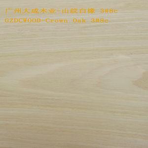 ԴƼľƤ(ɽư3#8C)