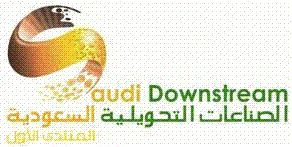 2013ɳʯչ