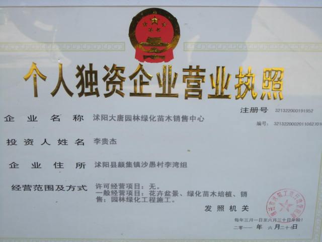 红花绣线菊小苗(红花绣线菊小苗)