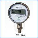 ѹ,YS-100