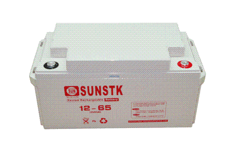 UPS(12V6H)