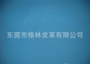 ӦPU(26)