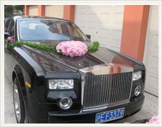 2011֮ǡ