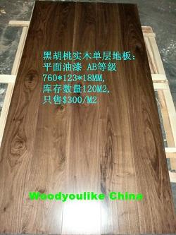 ںʵľذ(ں)