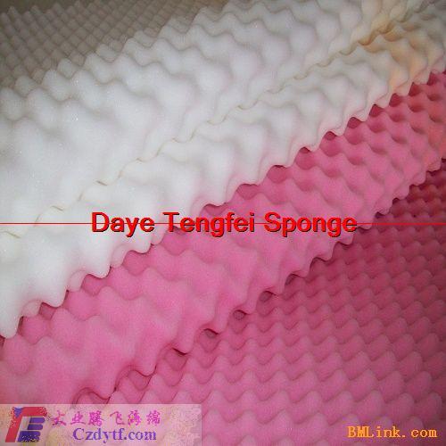 (B0204-T002)