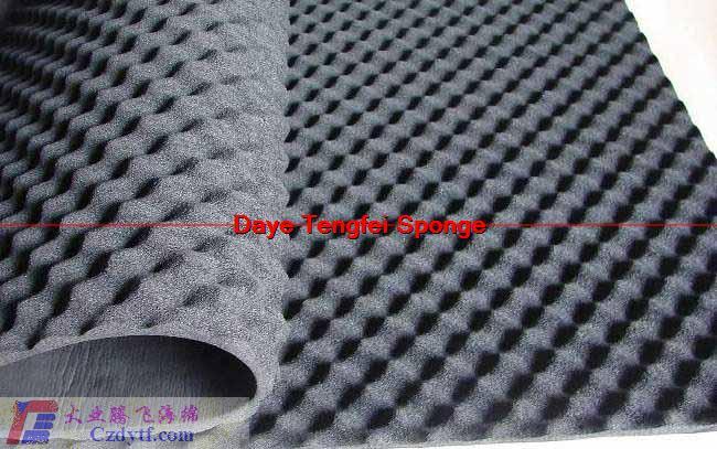(B0204-T004)