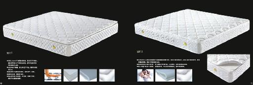 㶫Ƶ괲棬2012¿ѡ