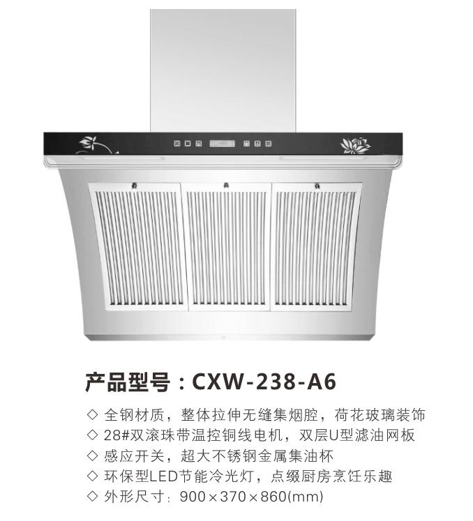 ά*(CXW-238-A6)