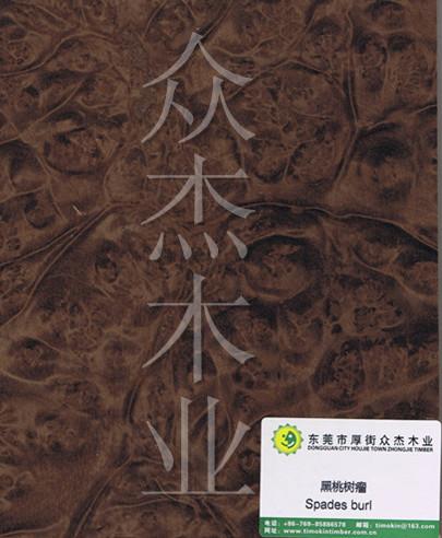 湛江树瘤工程饰面板