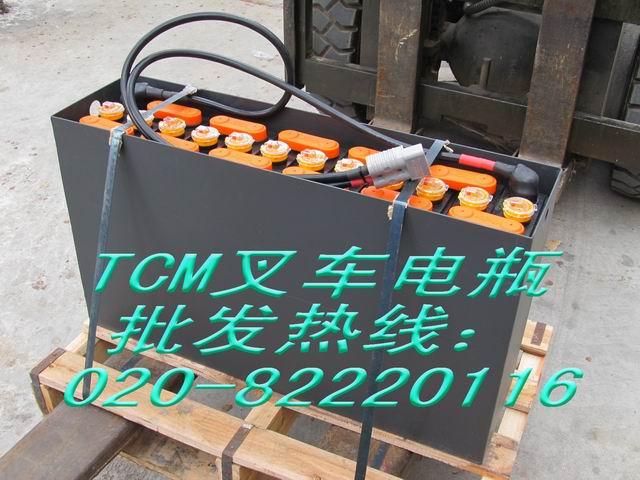 TCM泵48V700