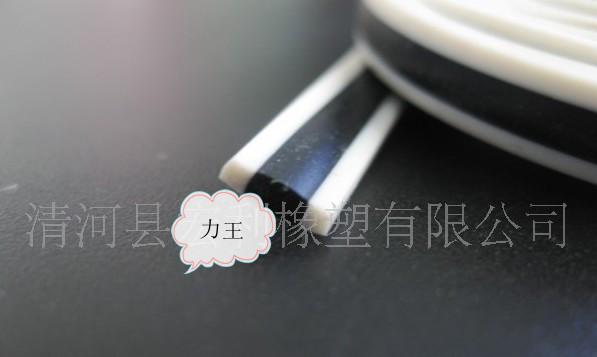 ˫ɫ轺ܷ,轺
