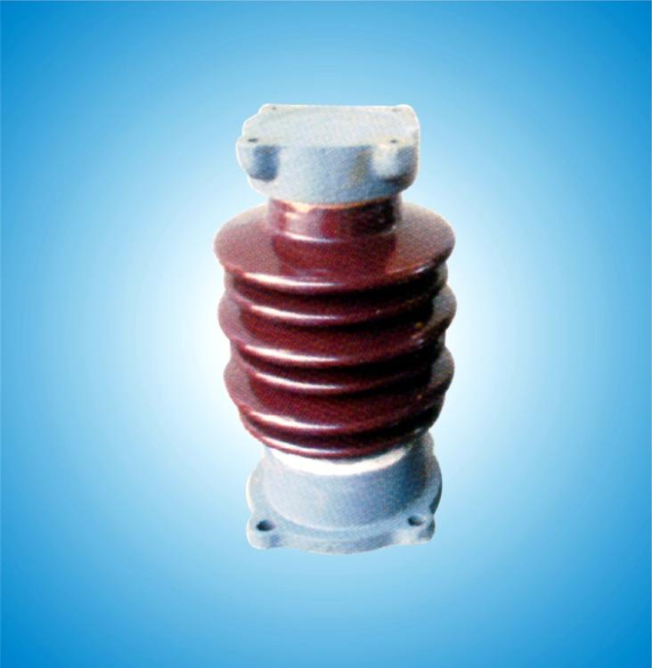 ZS-220/20֧Ե