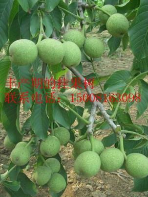 籡Ǻ