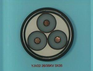 35kv¹ͺŴȫ