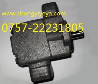 ҶƬPV2R1-31-FR