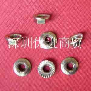 法兰螺母(FLM6/FLM8)