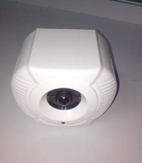 è(K115)