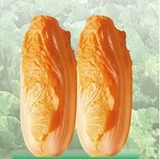 Ʒˡ챦