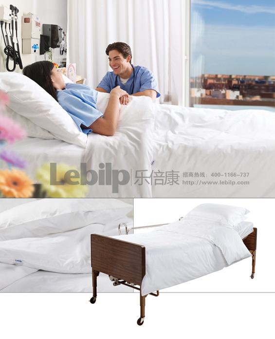 ʹ֮-Lebilpֱ