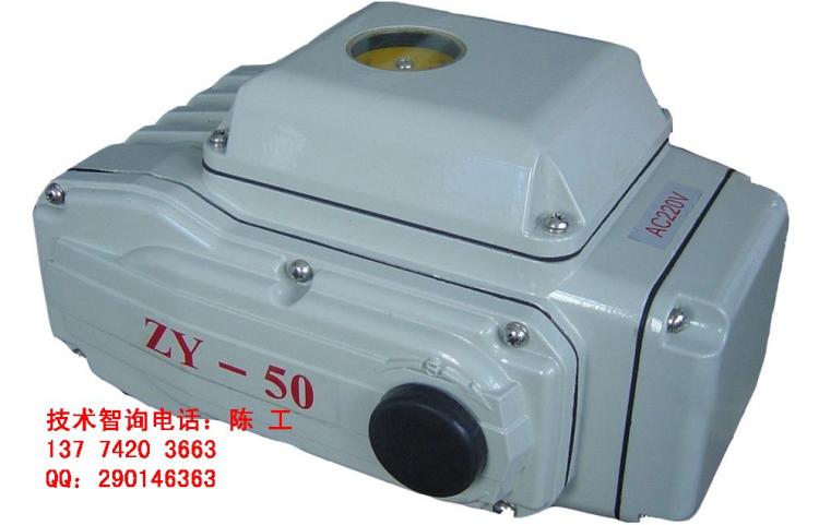 ZY綯ִл
