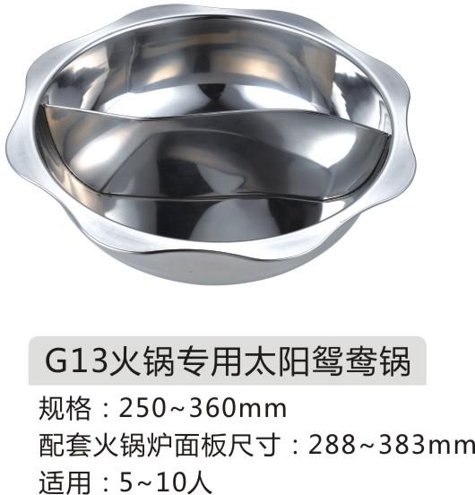 ;(G13)