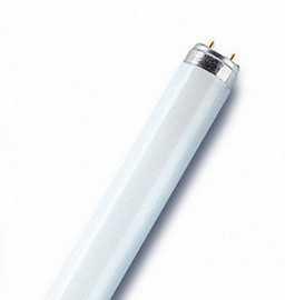 OSRAML30W/77ƹ