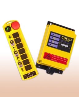 ң(Q100)