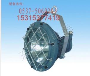 自家的仪器DGS54/127L