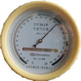 պѹ(DYM3)
