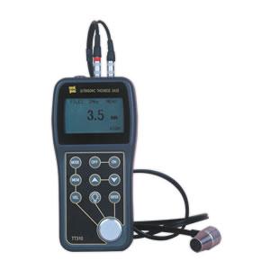 TT310