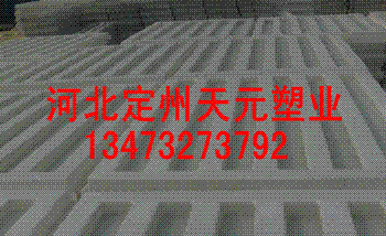 ģ(30025)