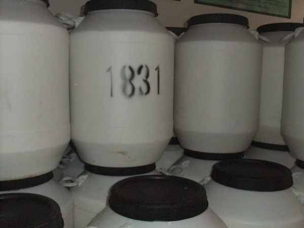 ʮ1831