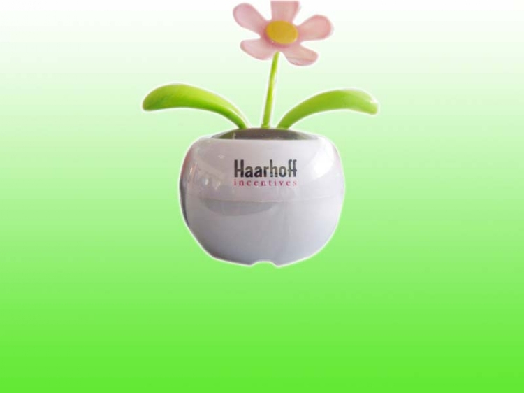 Ӧӡˢ(001)