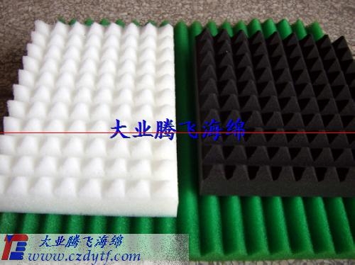 (B0204-T005)