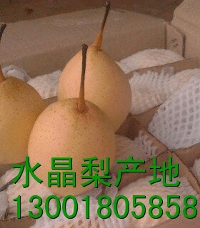 ӱˮ(60#)