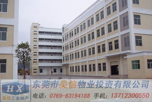 樟木头厂房出租原生树木,空气