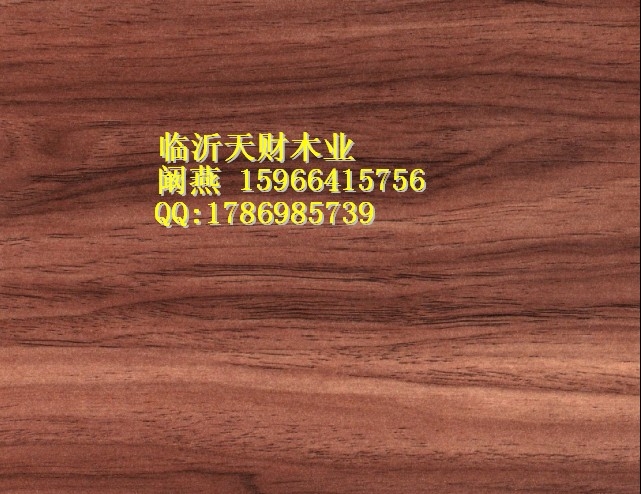 ̬15966415