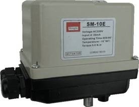 ʽִSM10
