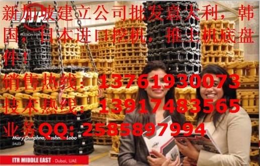 进口挖掘机/推土机履带,链轨