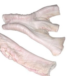 ŰţҶţ
