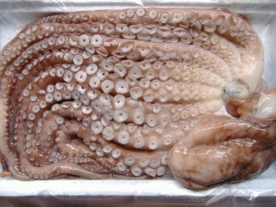 Ȫлƹʯ