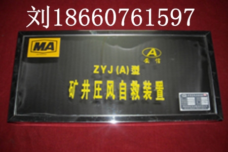 ZYJ-(A)ѹԾװ