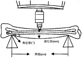 鱨()